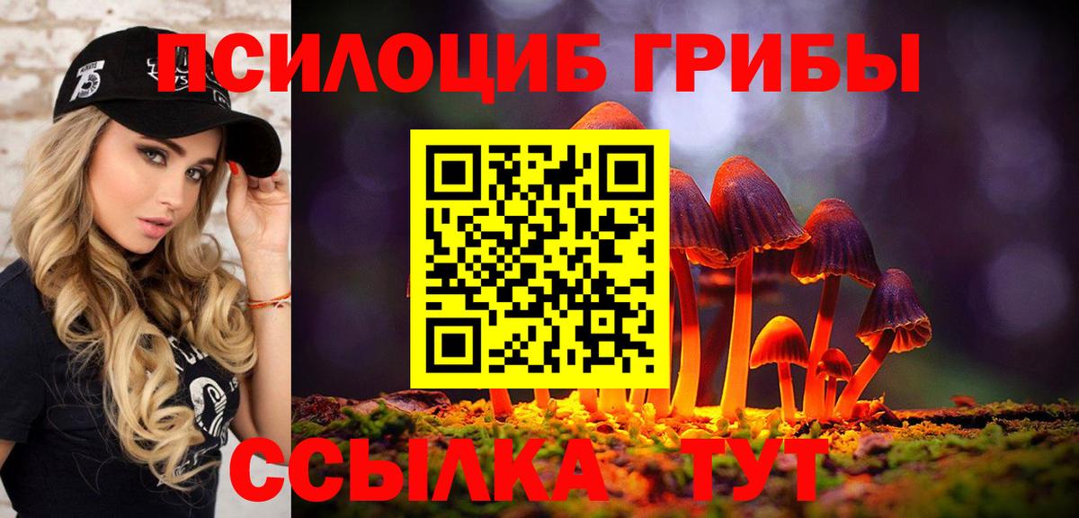 Псилоцибиновые грибы GOLDEN TEACHER  Вход с VPN  Анжеро-Судженск 