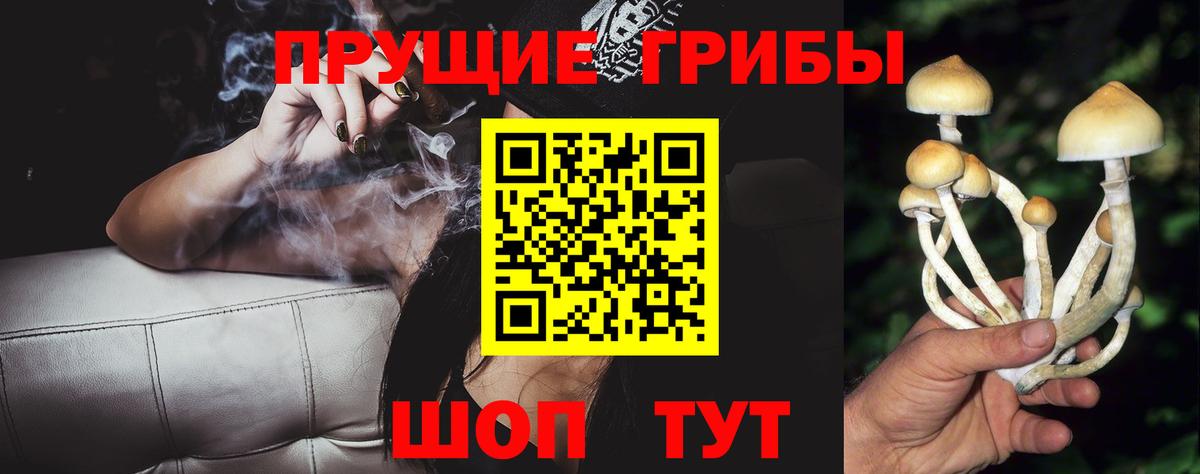 Псилоцибиновые грибы Magic Shrooms Анжеро-Судженск
